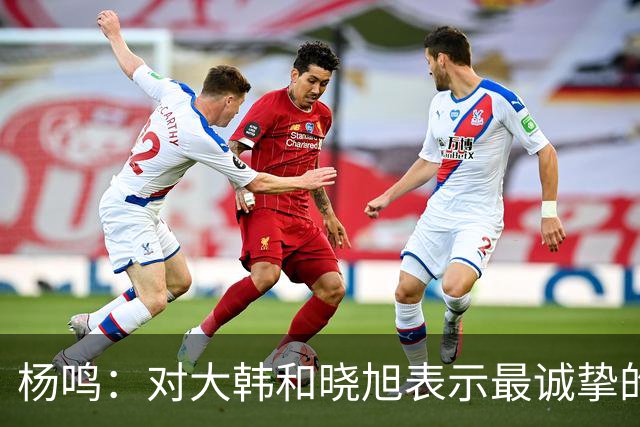 杨鸣：对大韩和晓旭表示最诚挚的感谢和尊重